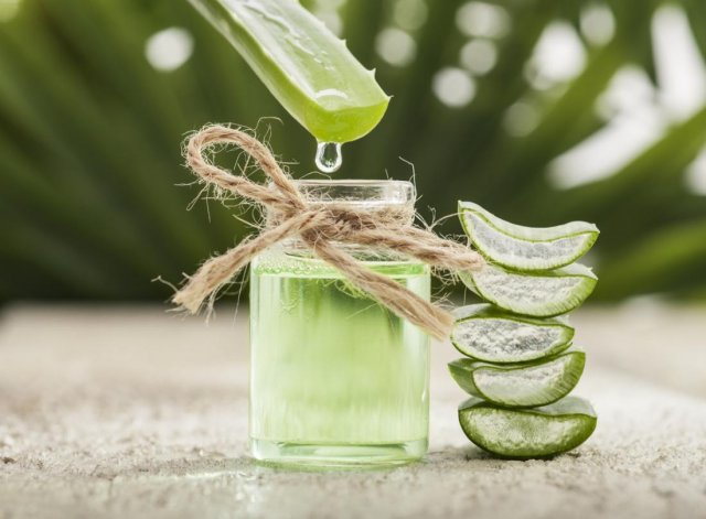 Aloe veranın  faydası