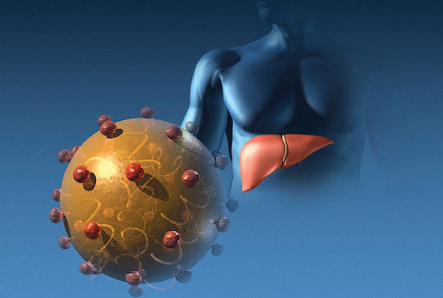 Hepatit meyvə-tərəvəzdən də keçə bilir – Xəbərdarlıq