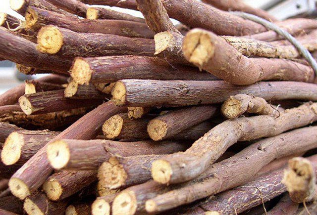 Öskürək, spazm və akneyə çarə bitki